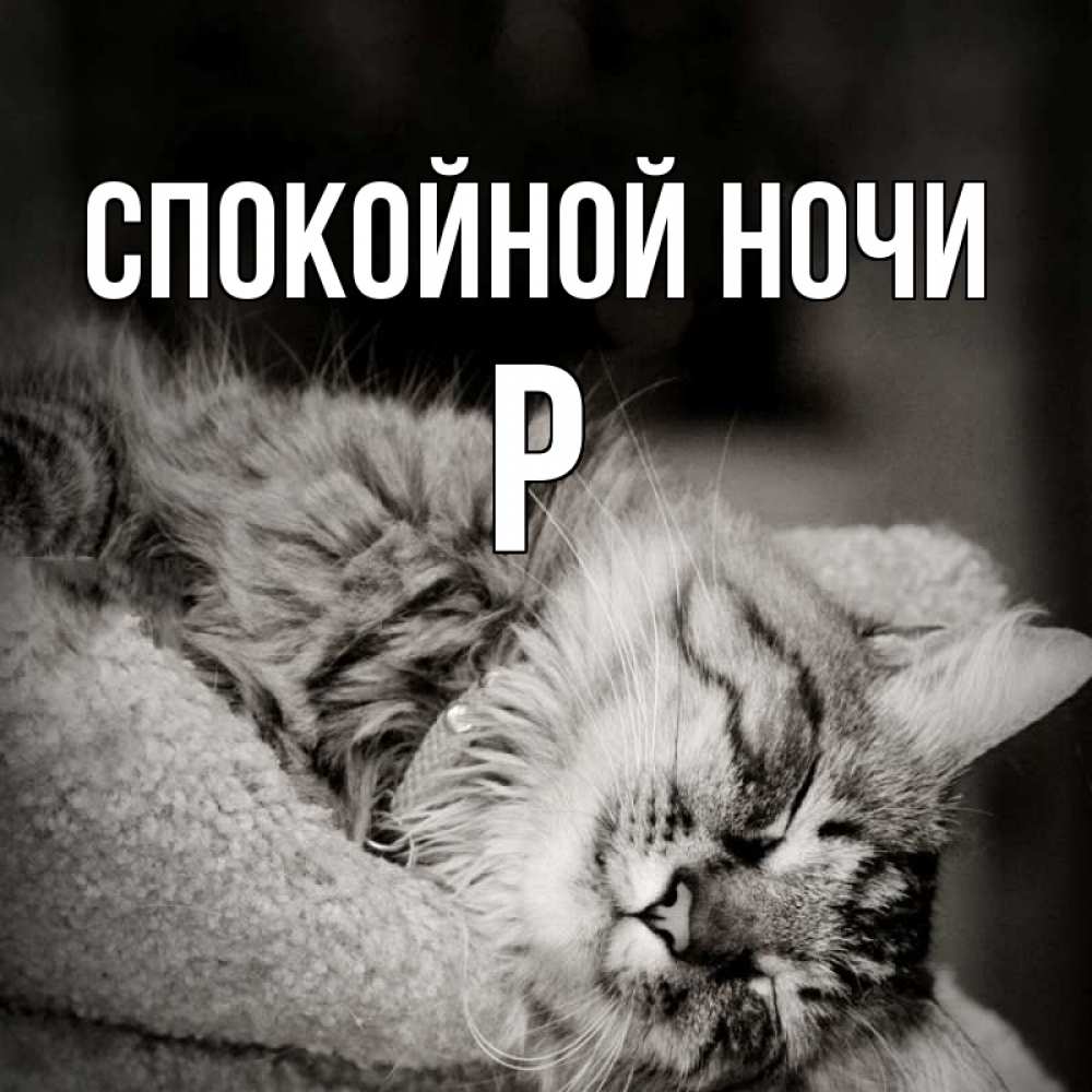 Спокойной Ночи Дрочи
