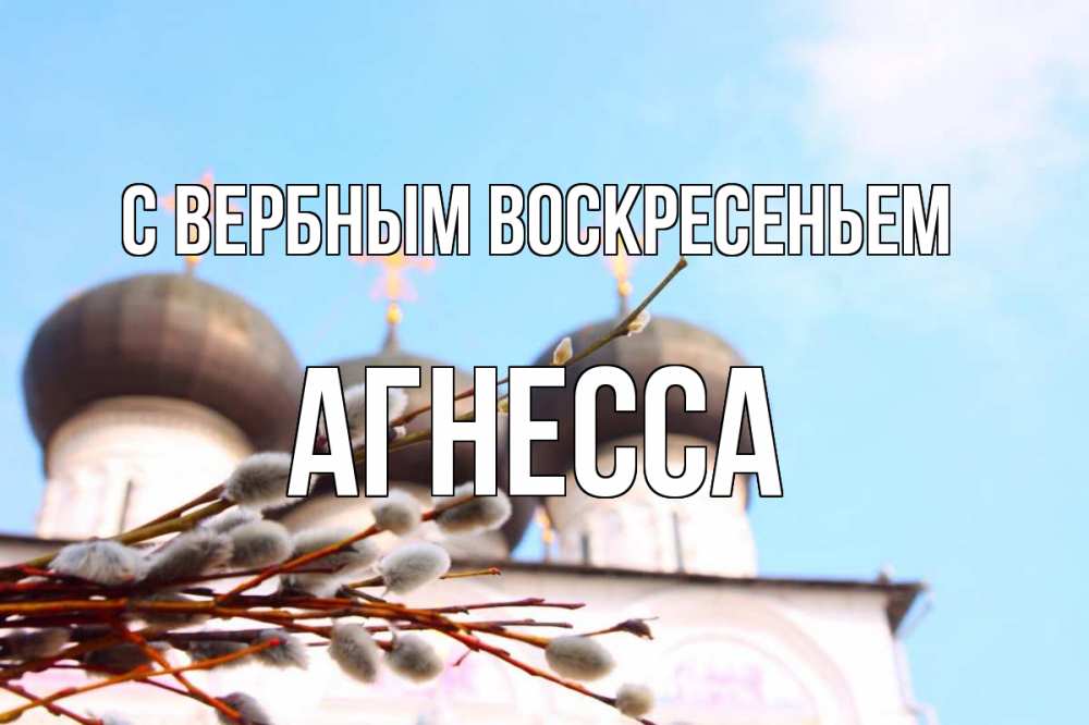 Открытка на каждый день с именем, Агнесса С вербным воскресеньем верба Прикольная открытка с пожеланием онлайн скачать бесплатно 