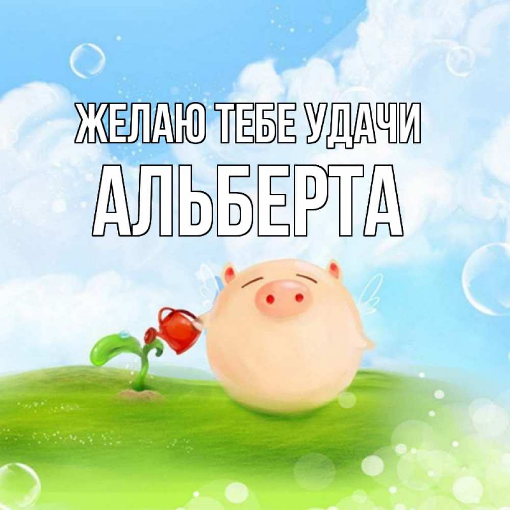 Открытка на каждый день с именем, Альберта Желаю тебе удачи поросенок поливает цветок. летнее настроение Прикольная открытка с пожеланием онлайн скачать бесплатно 
