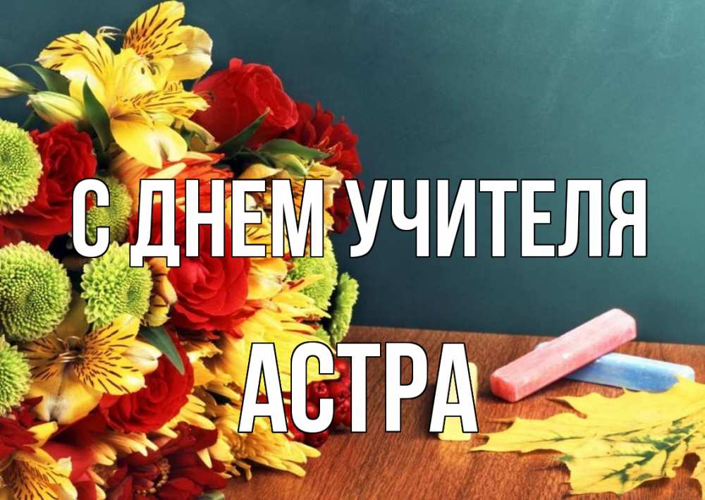 Открытка на каждый день с именем, Астра С днем учителя цветы, мел Прикольная открытка с пожеланием онлайн скачать бесплатно 