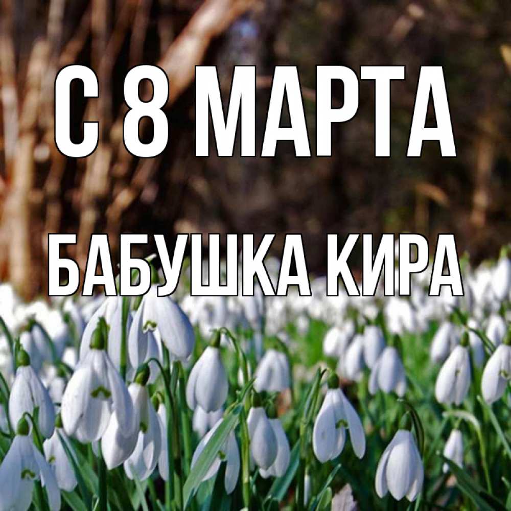 Открытка на каждый день с именем, Бабушка-Кира С 8 МАРТА с подснежниками 1 Прикольная открытка с пожеланием онлайн скачать бесплатно 