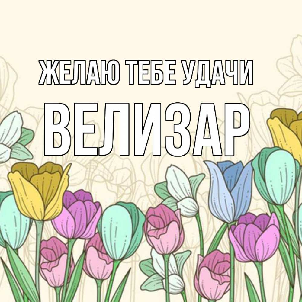 Открытка на каждый день с именем, Велизар Желаю тебе удачи тюльпаны Прикольная открытка с пожеланием онлайн скачать бесплатно 
