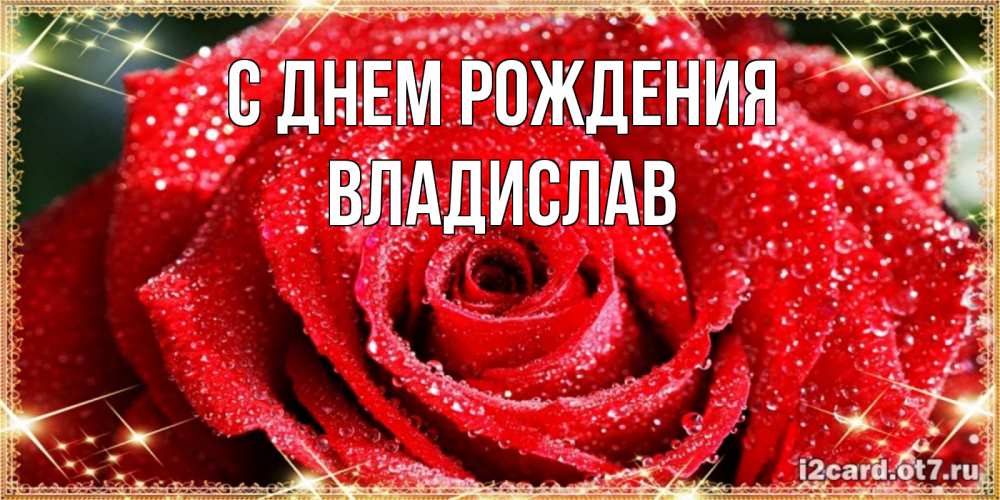 Открытка на каждый день с именем, Владислав С днем рождения роса и роза. открытка с красивой розой Прикольная открытка с пожеланием онлайн скачать бесплатно 