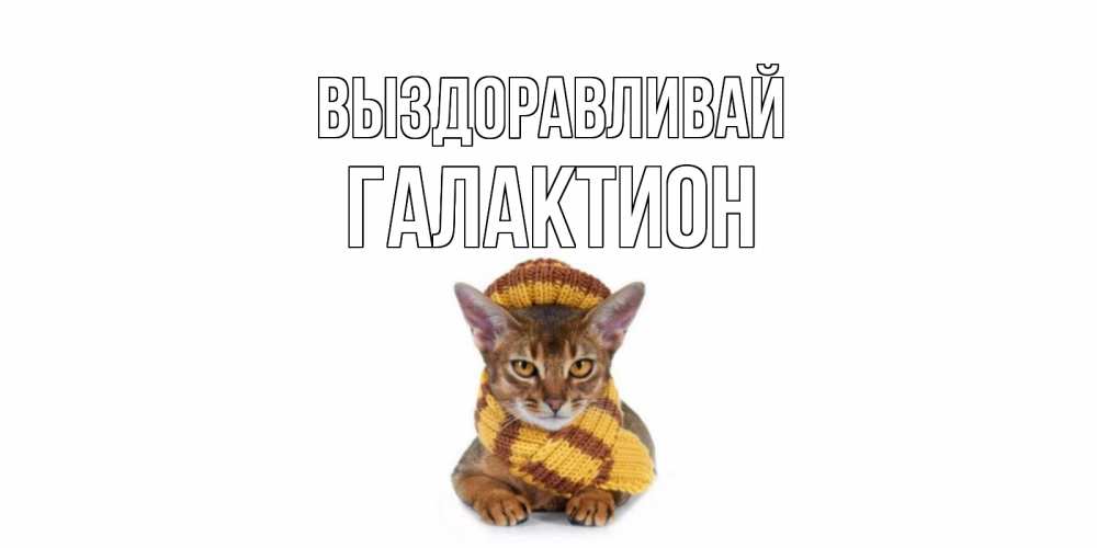 Открытка на каждый день с именем, Галактион Выздоравливай родные не болейте Прикольная открытка с пожеланием онлайн скачать бесплатно 