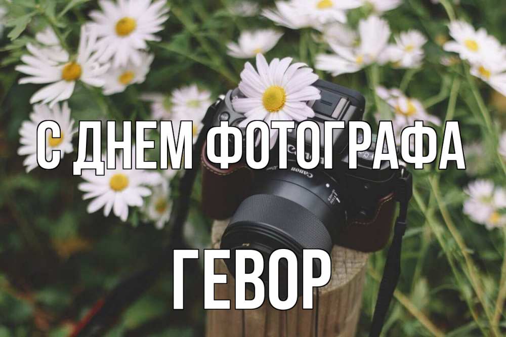 Открытка на каждый день с именем, Гевор С днем фотографа с днем фотографа Прикольная открытка с пожеланием онлайн скачать бесплатно 