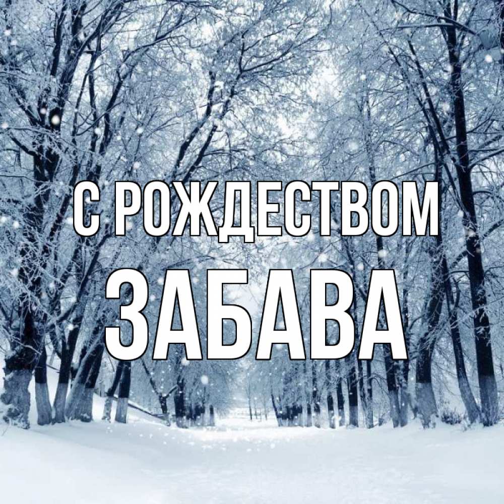 Открытка на каждый день с именем, Забава С рождеством снег, лес, парк Прикольная открытка с пожеланием онлайн скачать бесплатно 