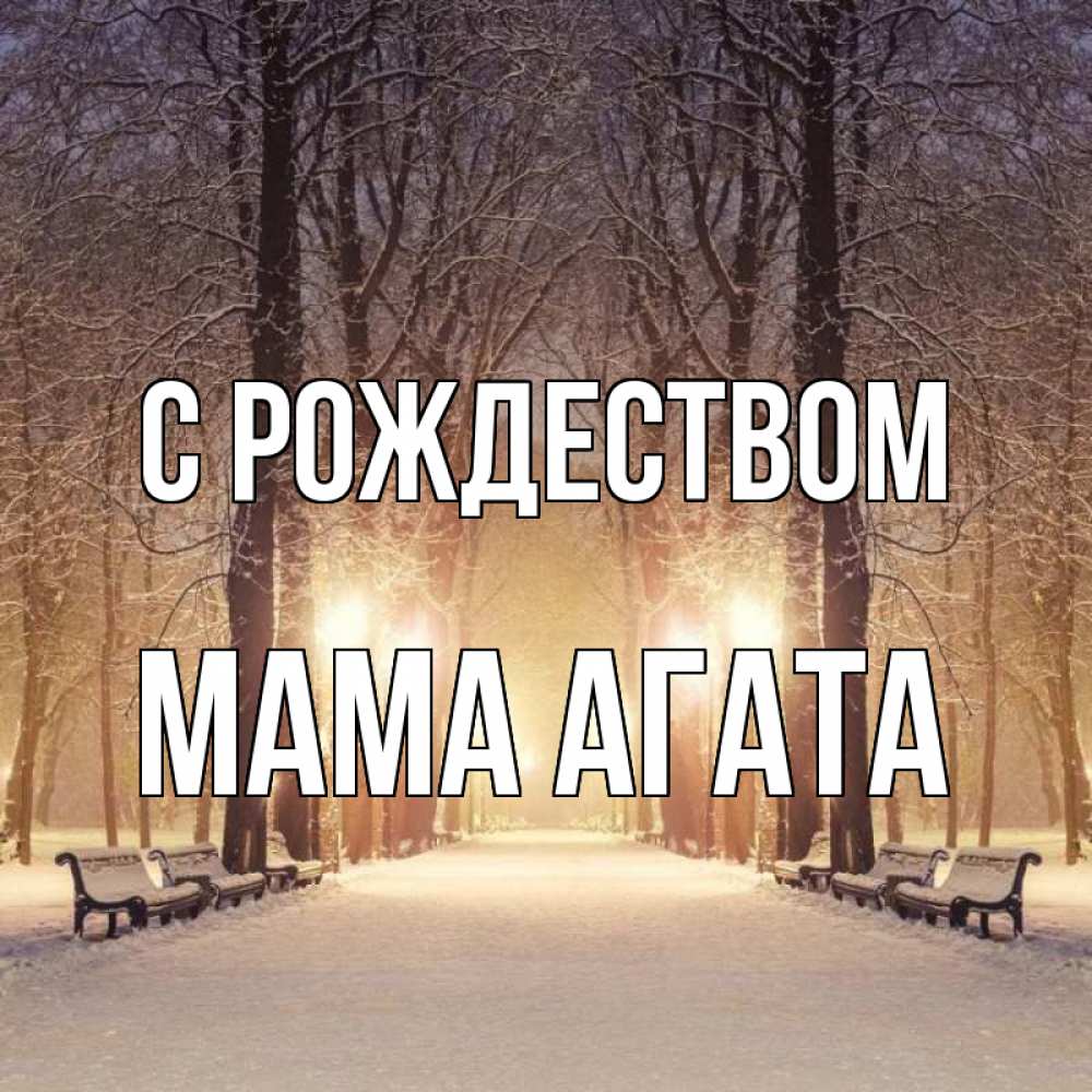Открытка на каждый день с именем, Мама-Агата С рождеством зима, парк, фонарь, лес Прикольная открытка с пожеланием онлайн скачать бесплатно 