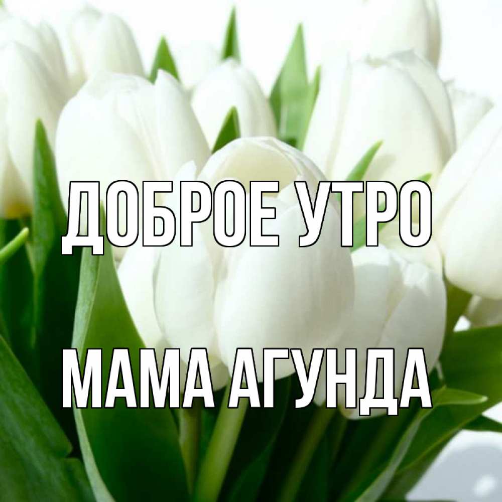 Открытка на каждый день с именем, Мама-Агунда Доброе утро открытки на каждый день по именам Прикольная открытка с пожеланием онлайн скачать бесплатно 