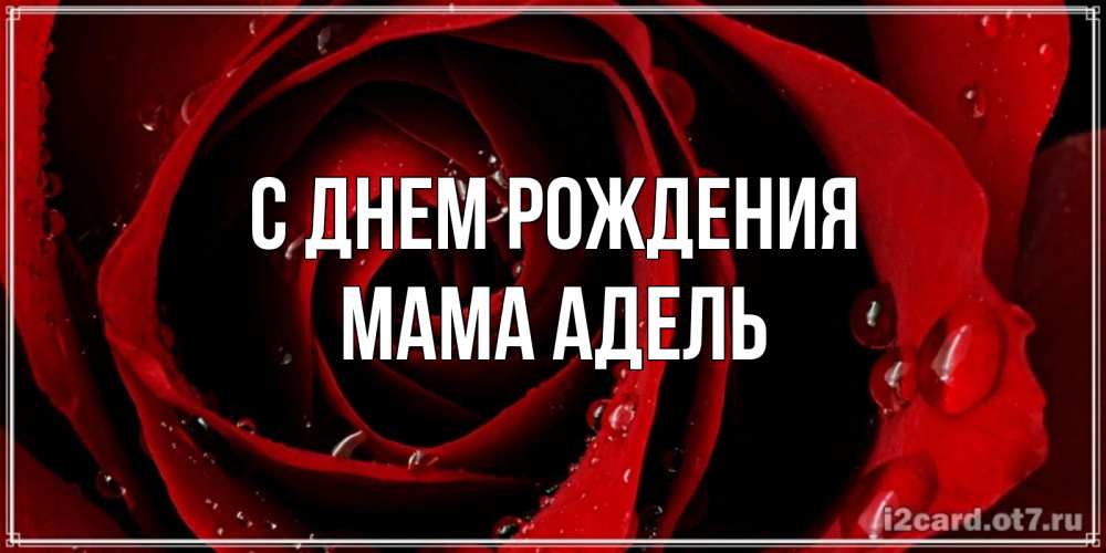 Открытка на каждый день с именем, Мама-Адель С днем рождения крупная бордовая роза Прикольная открытка с пожеланием онлайн скачать бесплатно 