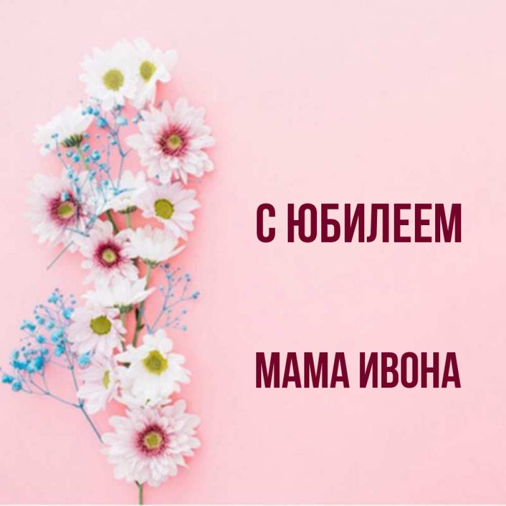 Открытка на каждый день с именем, Мама-Ивона С юбилеем Родная моя с днем рождения тебя картинка с цветами белыми и голубыми Прикольная открытка с пожеланием онлайн скачать бесплатно 