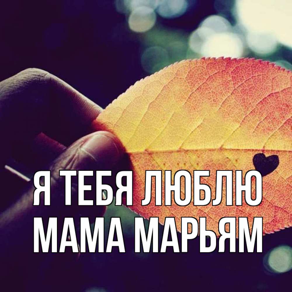 Открытка на каждый день с именем, Мама-Марьям Я тебя люблю держу лист Прикольная открытка с пожеланием онлайн скачать бесплатно 