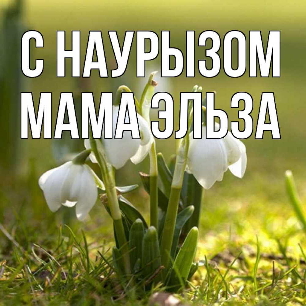 Открытка на каждый день с именем, Мама-Эльза С наурызом ранние цветы 2 Прикольная открытка с пожеланием онлайн скачать бесплатно 