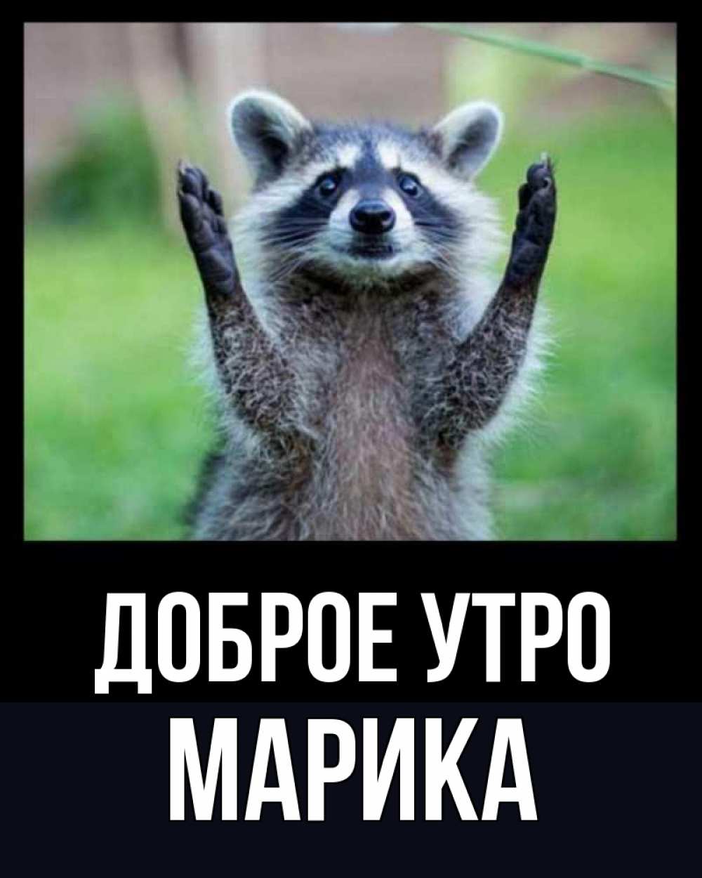 Открытка на каждый день с именем, Марика Доброе утро хорошее настроение утречком Прикольная открытка с пожеланием онлайн скачать бесплатно 