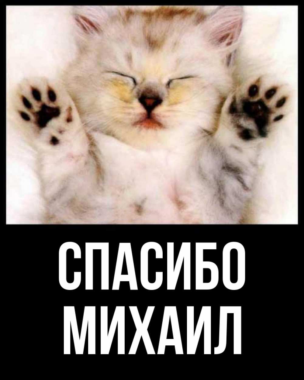 Открытка на каждый день с именем, Михаил Спасибо маленький котенок Прикольная открытка с пожеланием онлайн скачать бесплатно 