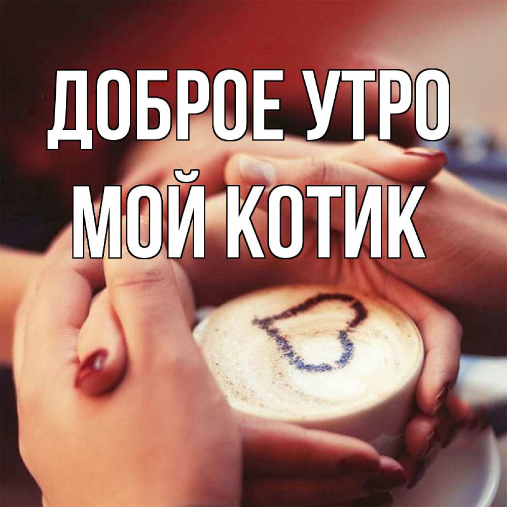 Открытка на каждый день с именем, Мой-Котик Доброе утро мы навсегда вместе Прикольная открытка с пожеланием онлайн скачать бесплатно 