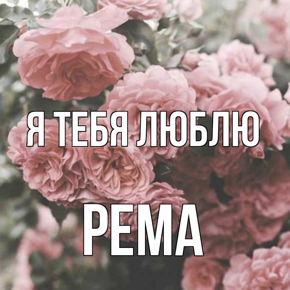 Открытка на каждый день с именем, Рема Я тебя люблю розы 3 Прикольная открытка с пожеланием онлайн скачать бесплатно 