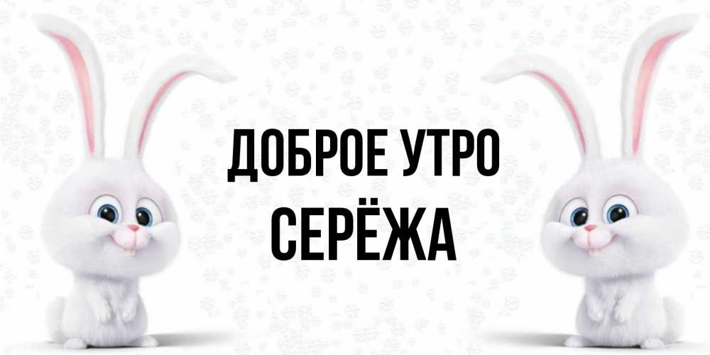 Открытка на каждый день с именем, Серёжа Доброе утро кролики с длинными ушками Прикольная открытка с пожеланием онлайн скачать бесплатно 