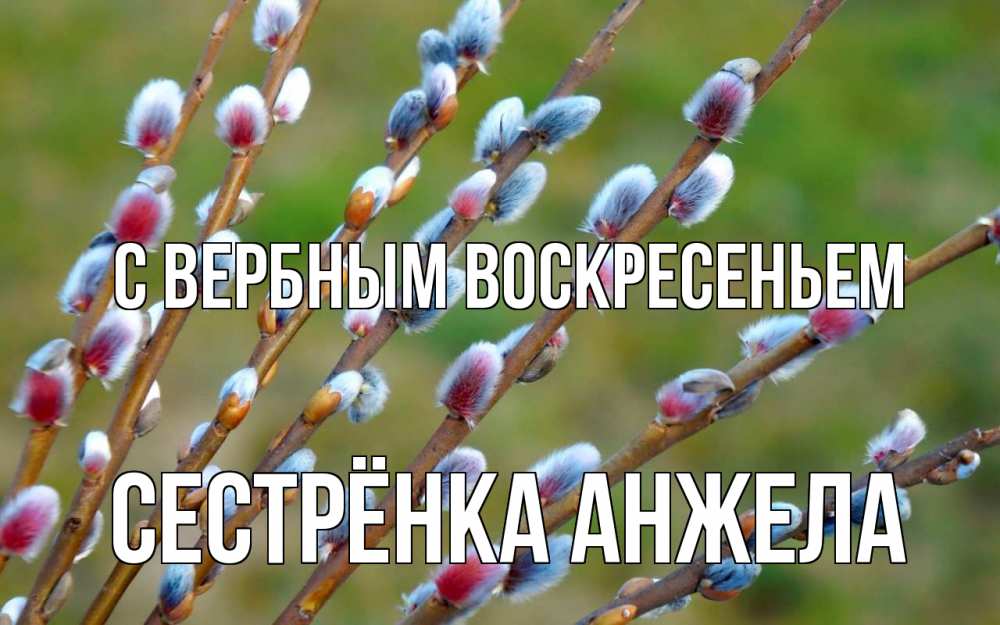 Открытка на каждый день с именем, Сестрёнка-Анжела С вербным воскресеньем верба Прикольная открытка с пожеланием онлайн скачать бесплатно 