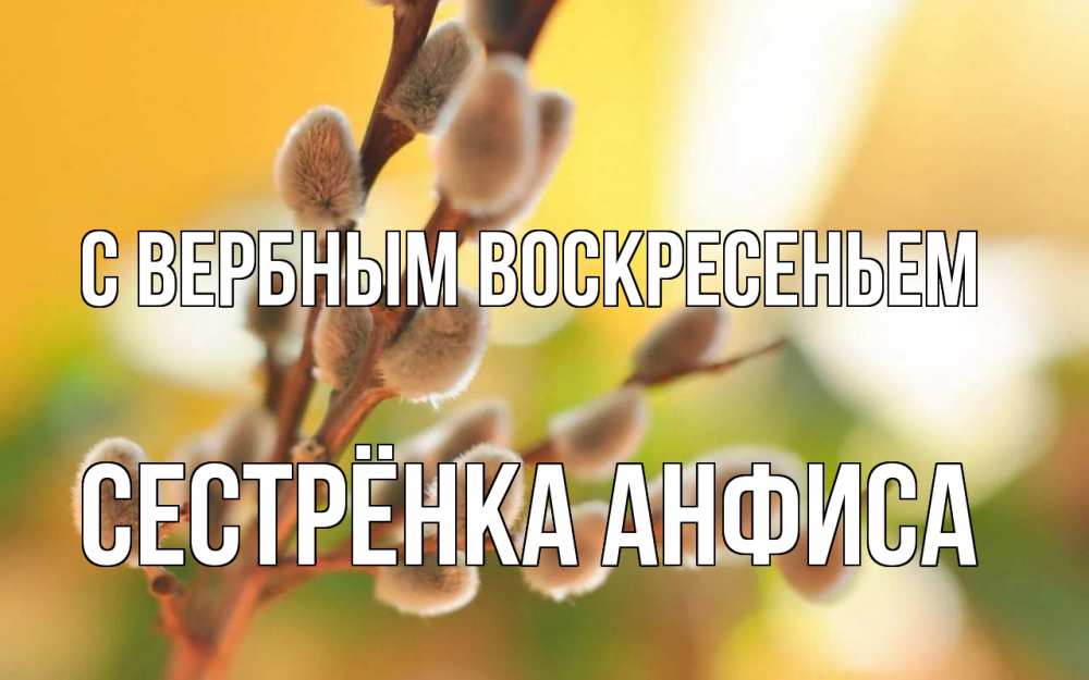 Открытка на каждый день с именем, Сестрёнка-Анфиса С вербным воскресеньем верба Прикольная открытка с пожеланием онлайн скачать бесплатно 