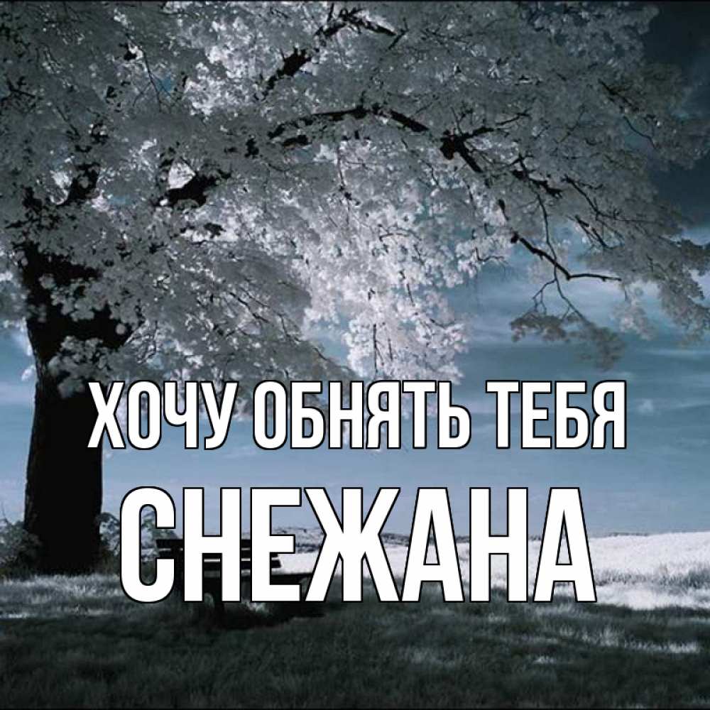 Открытка на каждый день с именем, Снежана Хочу обнять тебя дерево Прикольная открытка с пожеланием онлайн скачать бесплатно 