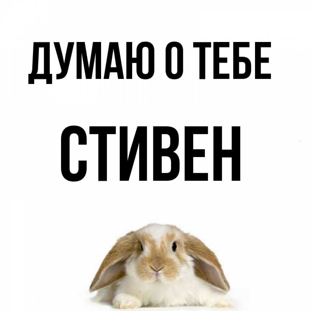 Открытка на каждый день с именем, Стивен Думаю о тебе подписать своими руками онлайн Прикольная открытка с пожеланием онлайн скачать бесплатно 