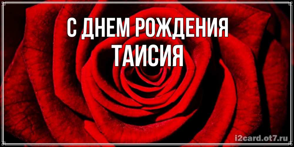 Открытка на каждый день с именем, Таисия С днем рождения алая роза Прикольная открытка с пожеланием онлайн скачать бесплатно 