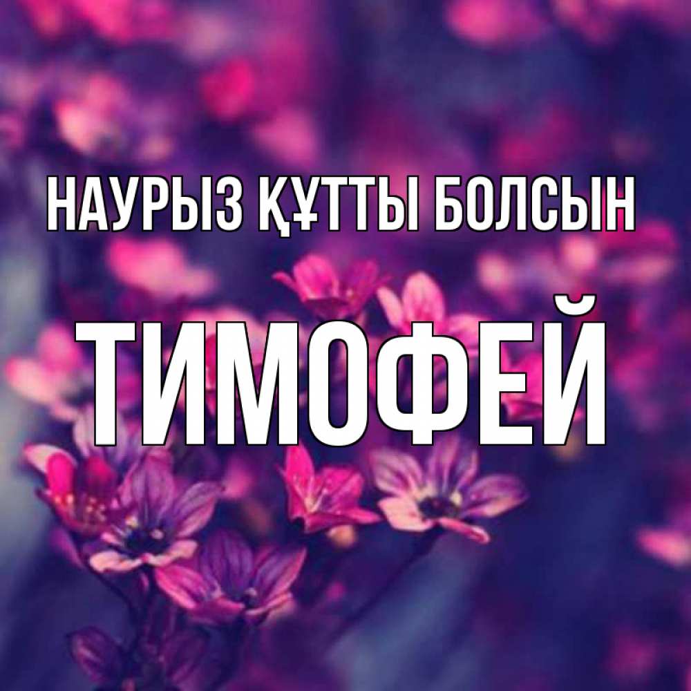 Открытка на каждый день с именем, Тимофей Наурыз құтты болсын небольшие цветы 1 Прикольная открытка с пожеланием онлайн скачать бесплатно 