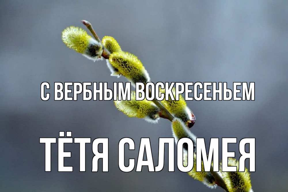 Открытка на каждый день с именем, Тётя-Саломея С вербным воскресеньем верба Прикольная открытка с пожеланием онлайн скачать бесплатно 