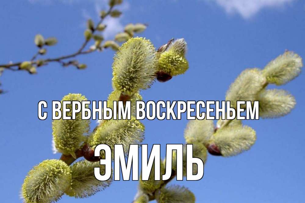 Открытка на каждый день с именем, Эмиль С вербным воскресеньем верба Прикольная открытка с пожеланием онлайн скачать бесплатно 