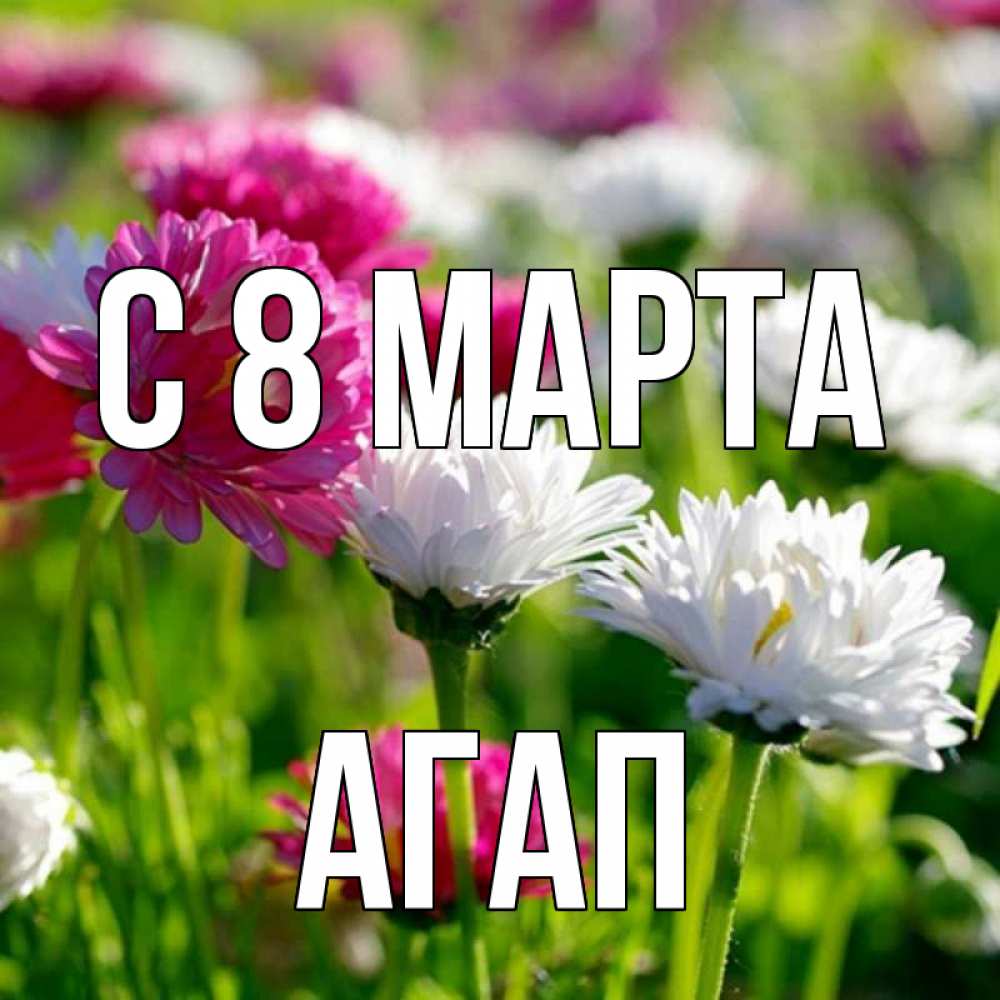 Открытка на каждый день с именем, Агап С 8 МАРТА международный женский день 1 Прикольная открытка с пожеланием онлайн скачать бесплатно 