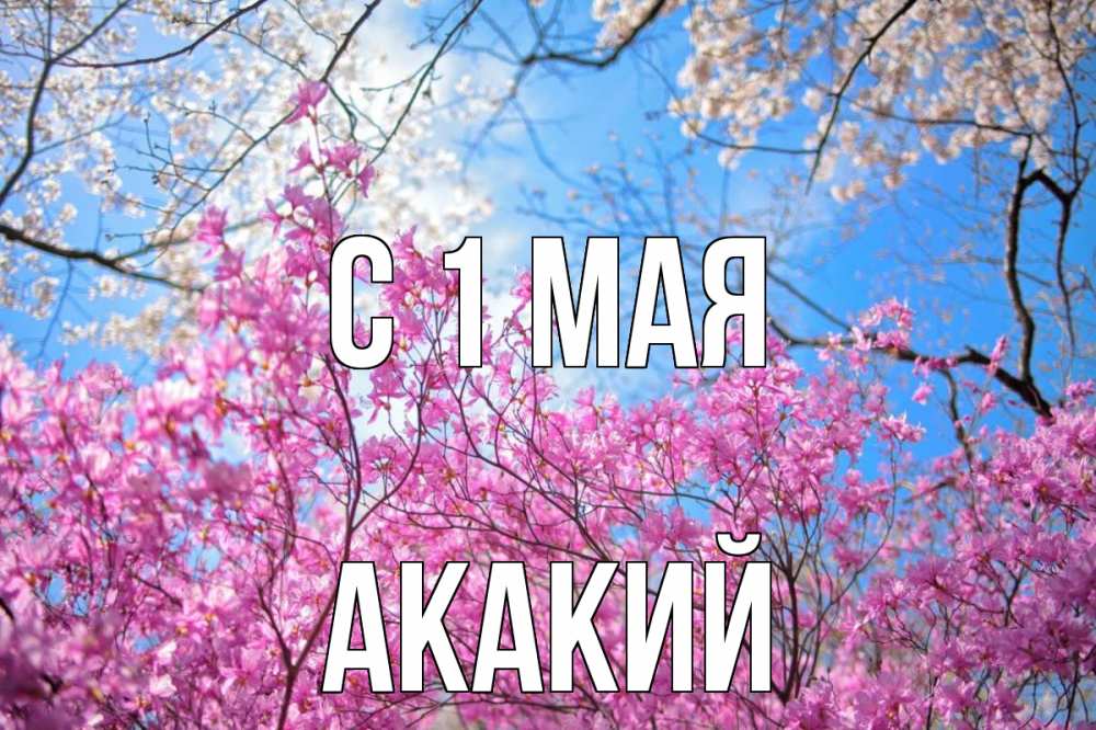 Открытка на каждый день с именем, Акакий С 1 мая С 1 мая Прикольная открытка с пожеланием онлайн скачать бесплатно 