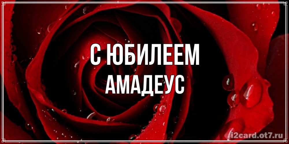 Открытка на каждый день с именем, Амадеус С юбилеем крупная бордовая роза Прикольная открытка с пожеланием онлайн скачать бесплатно 