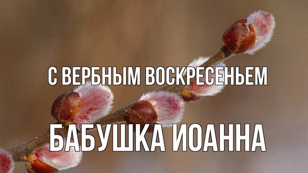 Открытка на каждый день с именем, Бабушка-Иоанна С вербным воскресеньем верба Прикольная открытка с пожеланием онлайн скачать бесплатно 