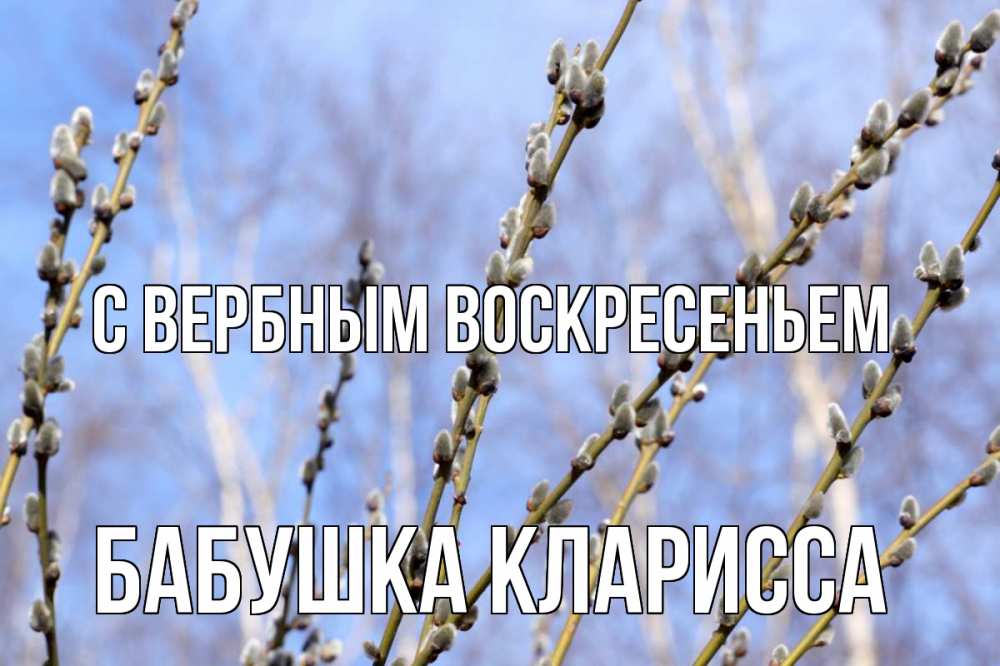 Открытка на каждый день с именем, Бабушка-Кларисса С вербным воскресеньем верба Прикольная открытка с пожеланием онлайн скачать бесплатно 