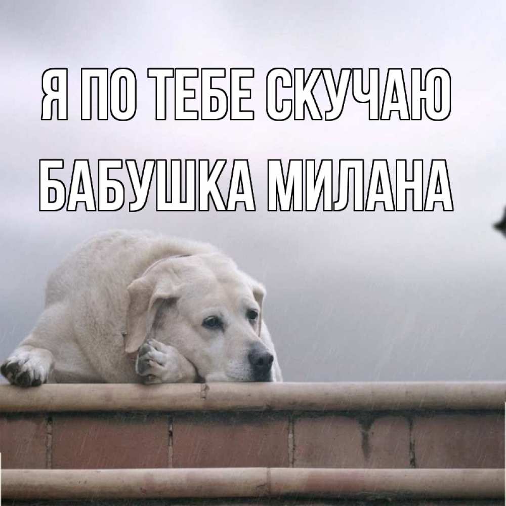 Открытка на каждый день с именем, Бабушка-Милана Я по тебе скучаю ждет Прикольная открытка с пожеланием онлайн скачать бесплатно 