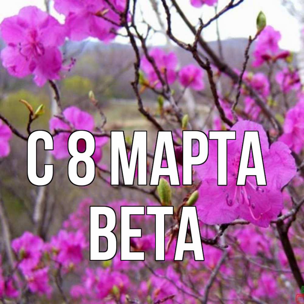 Открытка на каждый день с именем, Вета С 8 МАРТА международный женский день Прикольная открытка с пожеланием онлайн скачать бесплатно 