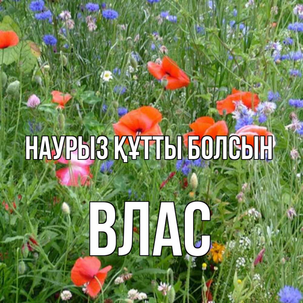 Открытка на каждый день с именем, Влас Наурыз құтты болсын наурыз  4 Прикольная открытка с пожеланием онлайн скачать бесплатно 