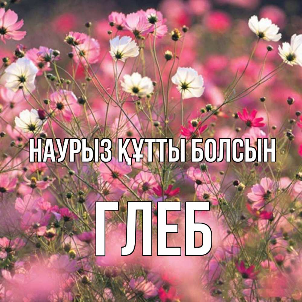Открытка на каждый день с именем, Глеб Наурыз құтты болсын красиво 1 Прикольная открытка с пожеланием онлайн скачать бесплатно 