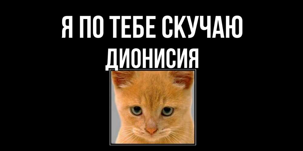 Открытка на каждый день с именем, Дионисия Я по тебе скучаю открытки рыжий котенок скучает по тебе Прикольная открытка с пожеланием онлайн скачать бесплатно 