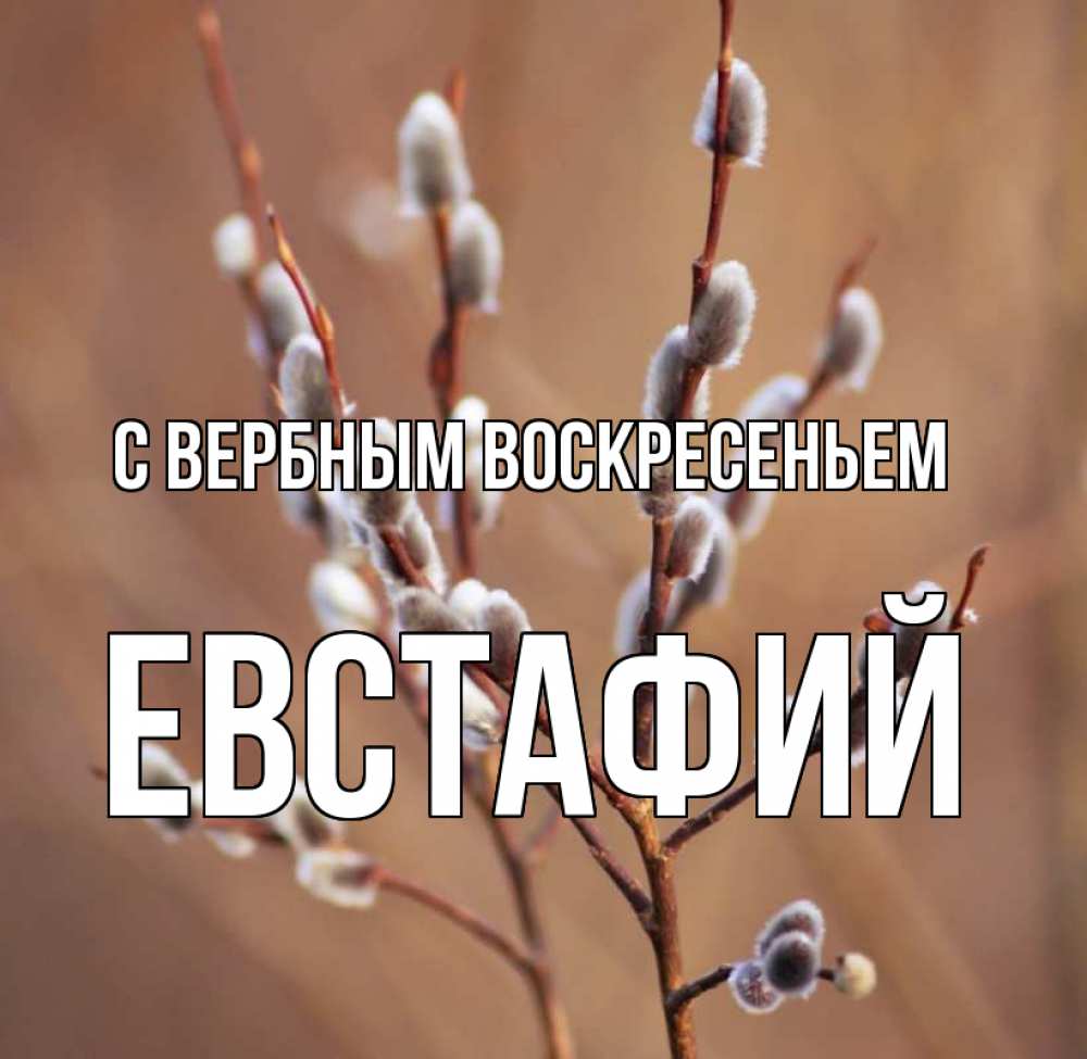 Открытка на каждый день с именем, Евстафий С вербным воскресеньем верба Прикольная открытка с пожеланием онлайн скачать бесплатно 