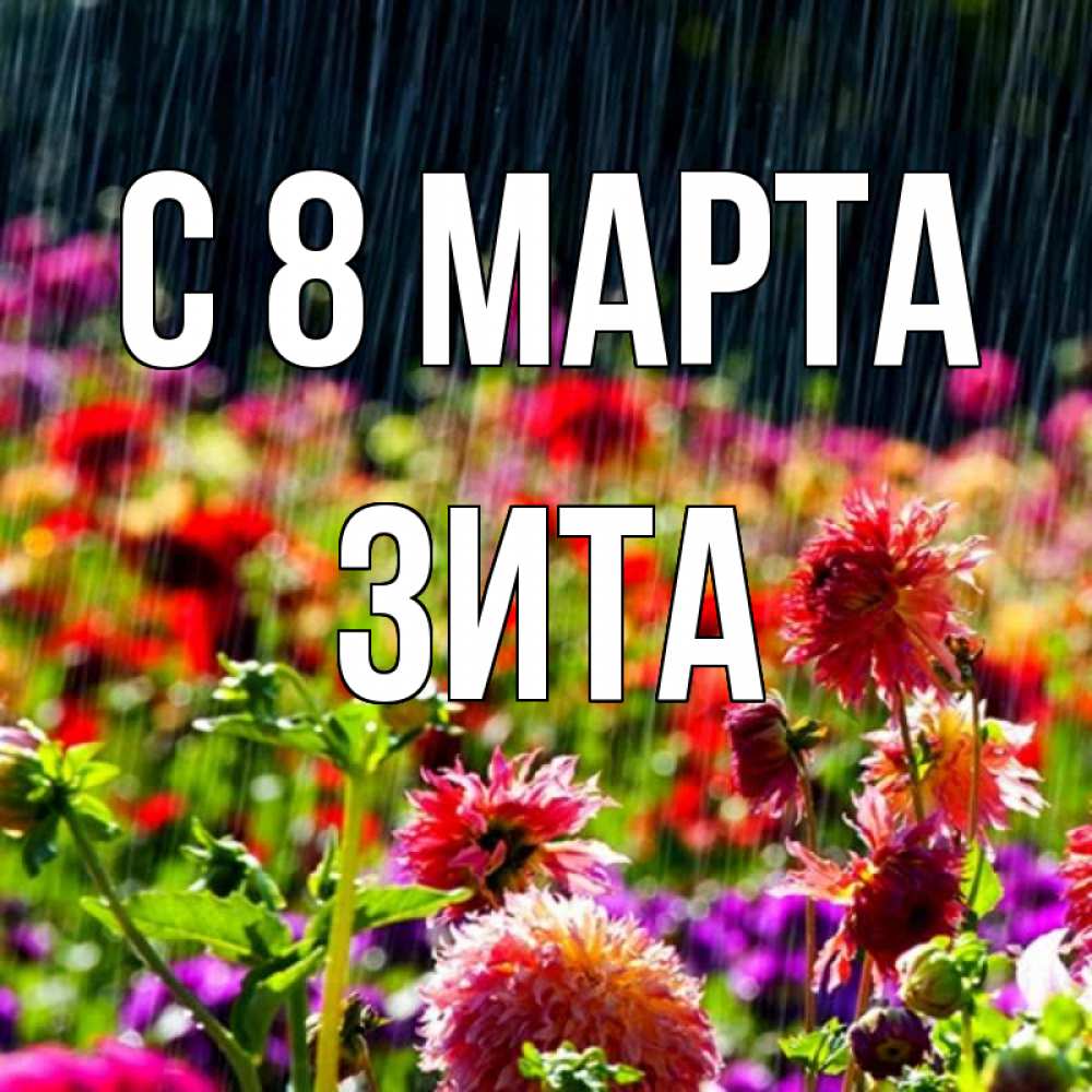 Открытка на каждый день с именем, Зита С 8 МАРТА цветы под дождиком к международному женскому дню Прикольная открытка с пожеланием онлайн скачать бесплатно 