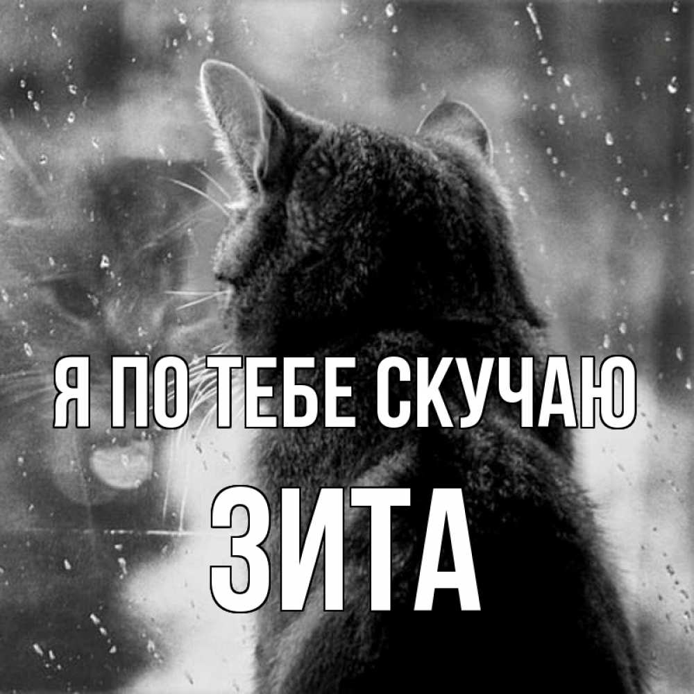 Открытка на каждый день с именем, Зита Я по тебе скучаю скорее ко мне приходи 1 Прикольная открытка с пожеланием онлайн скачать бесплатно 