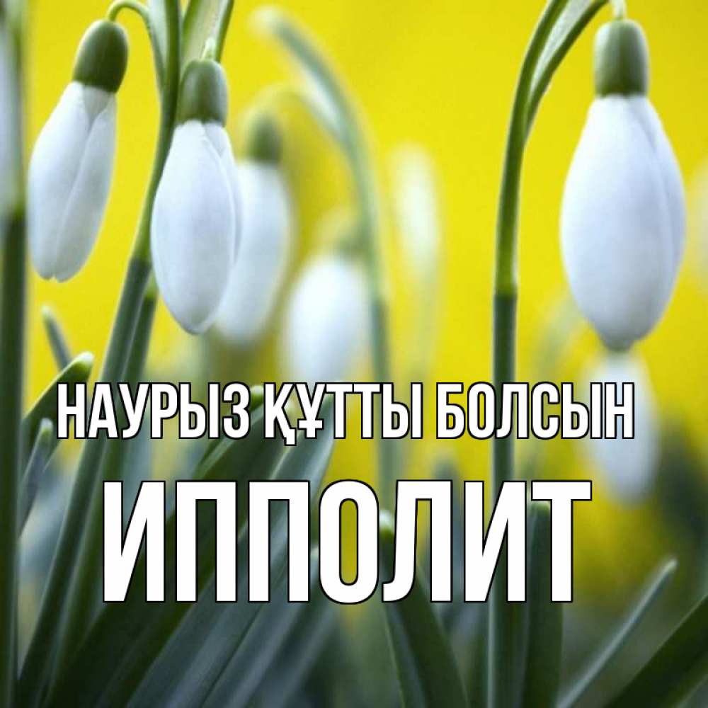 Открытка на каждый день с именем, Ипполит Наурыз құтты болсын весенние цветы Прикольная открытка с пожеланием онлайн скачать бесплатно 