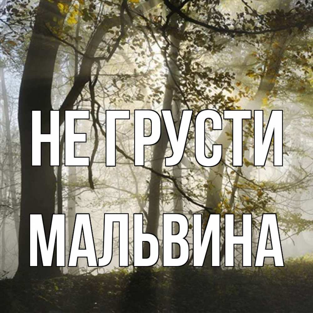 Открытка на каждый день с именем, Мальвина Не грусти лес и свет Прикольная открытка с пожеланием онлайн скачать бесплатно 