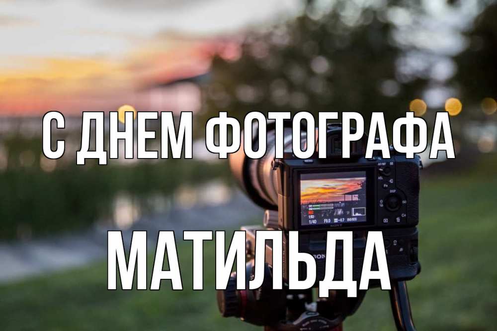 Открытка на каждый день с именем, Матильда С днем фотографа с днем фотографа Прикольная открытка с пожеланием онлайн скачать бесплатно 
