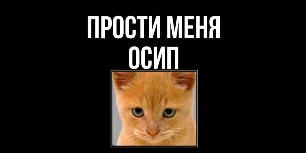 Открытка на каждый день с именем, Осип Прости меня рыжий грустный кот просит прощения Прикольная открытка с пожеланием онлайн скачать бесплатно 