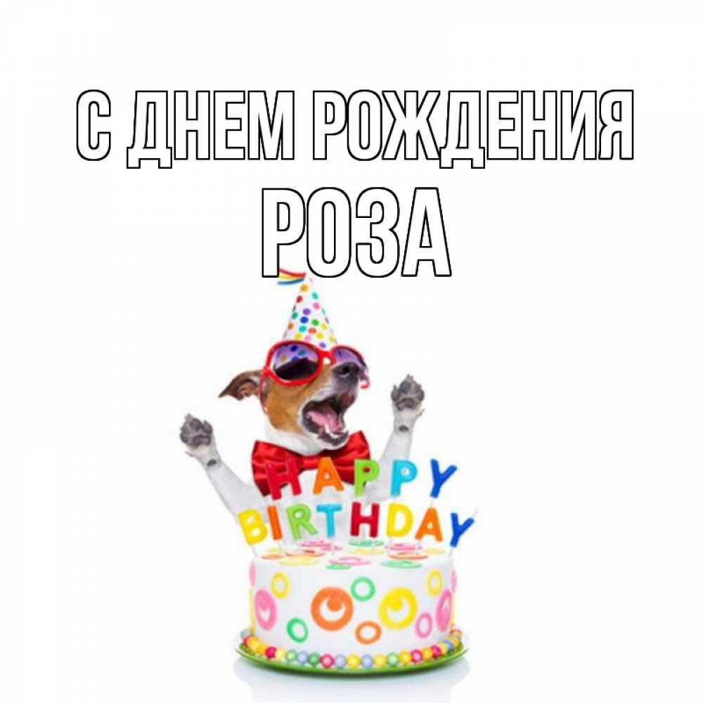 Открытка на каждый день с именем, Роза С днем рождения тортик Прикольная открытка с пожеланием онлайн скачать бесплатно 