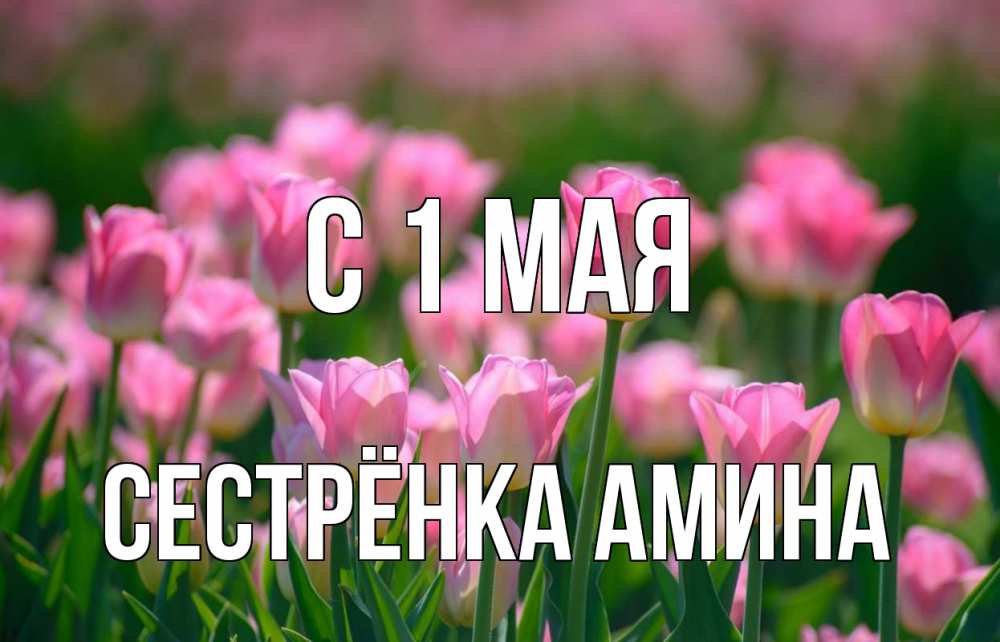 Открытка на каждый день с именем, Сестрёнка-Амина С 1 мая С 1 мая Прикольная открытка с пожеланием онлайн скачать бесплатно 