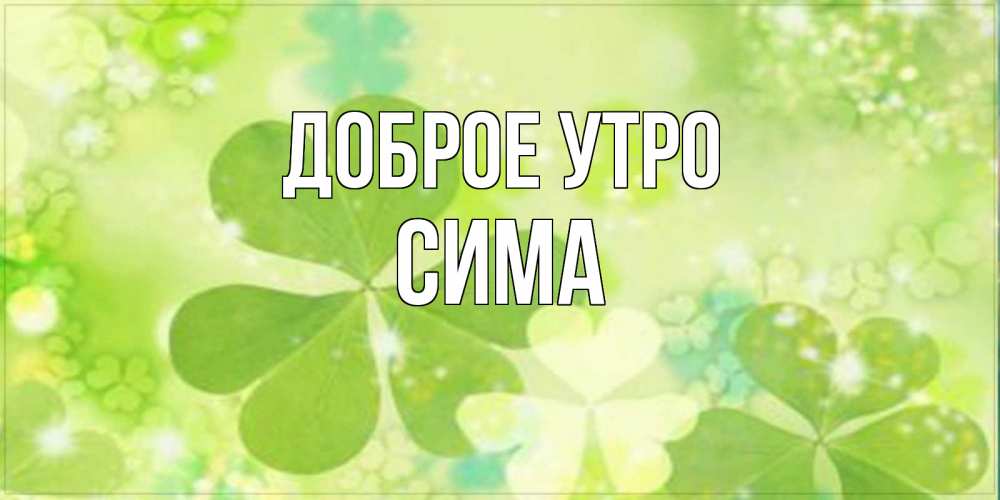 Открытка на каждый день с именем, Сима Доброе утро открытка с листьями летними зелеными Прикольная открытка с пожеланием онлайн скачать бесплатно 