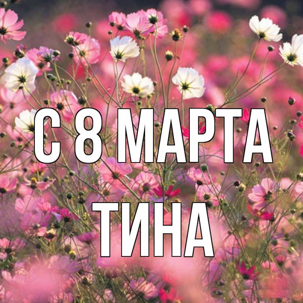 Открытка на каждый день с именем, Тина С 8 МАРТА красиво 1 Прикольная открытка с пожеланием онлайн скачать бесплатно 